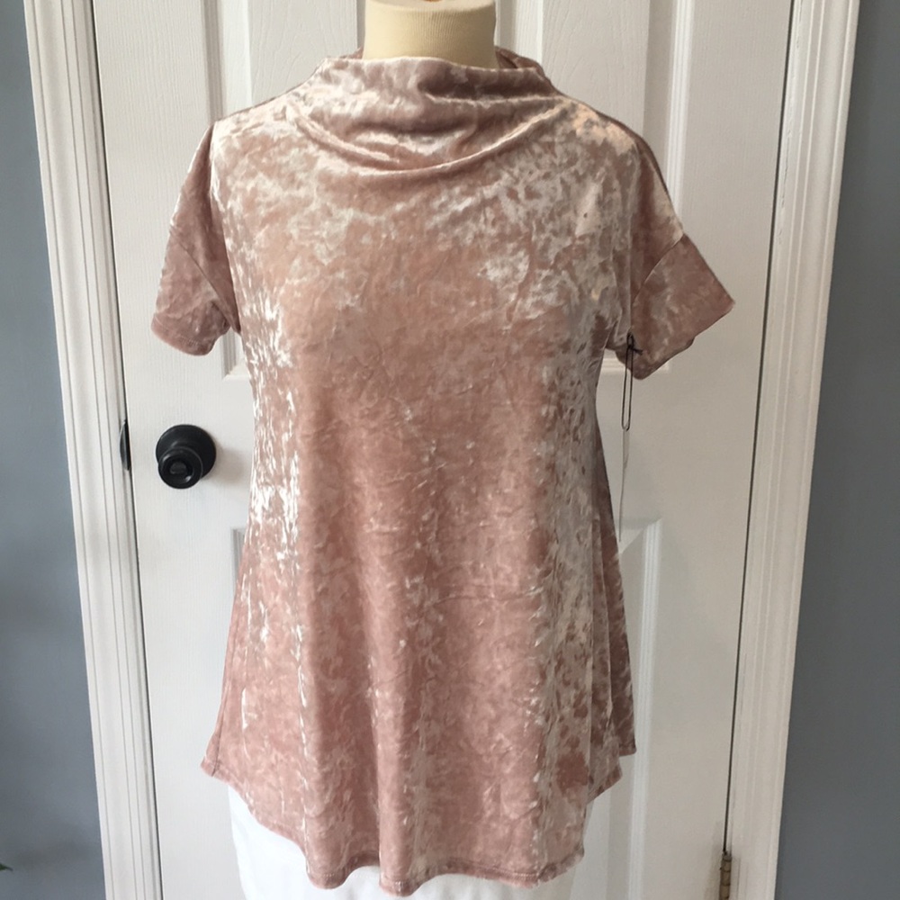 Champagne Pink velvet top by Coin 1804